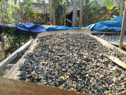 Thiwul dan gathot instan