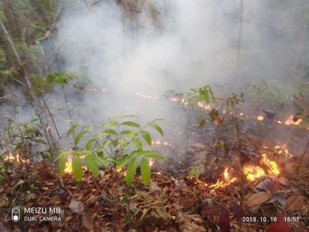 MUSIM KEMARAU YANG PANJANG